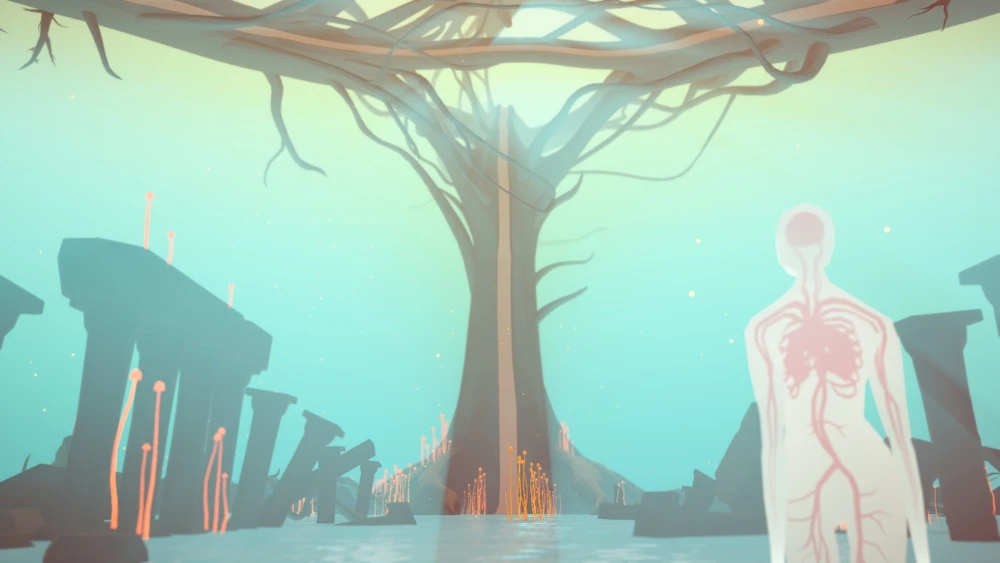 Akupara Narrative Pack - Nintendo Switch