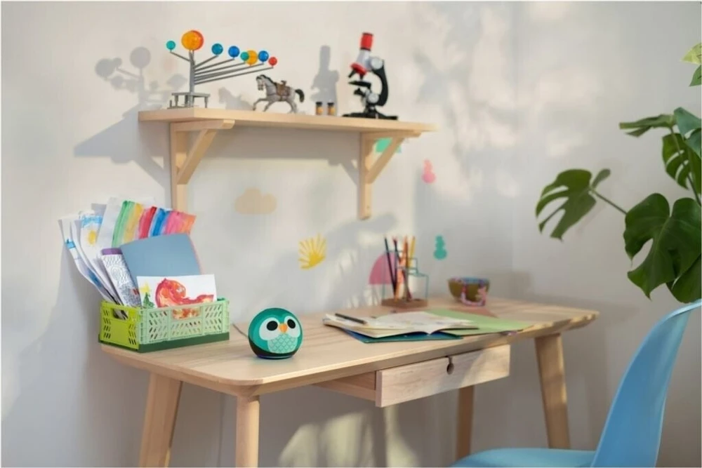 Amazon Echo Dot 5 Eulen Design