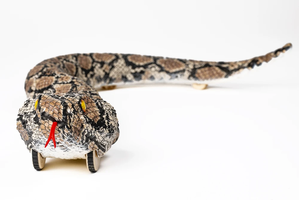 Animal Universe - Rattler nuotoliniu būdu valdomas robotas su šviesa ir imituojamu garsu 2,4 GHz, 65 cm (525003)