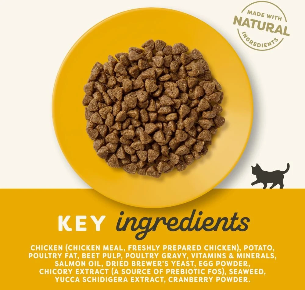 Sausas kačių maistas Applaws Kitten vištiena, 2kg
