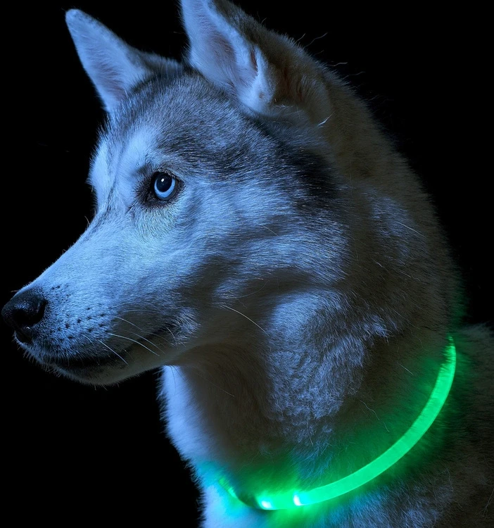ATL LED šviečiantis antkaklis (Žalia)