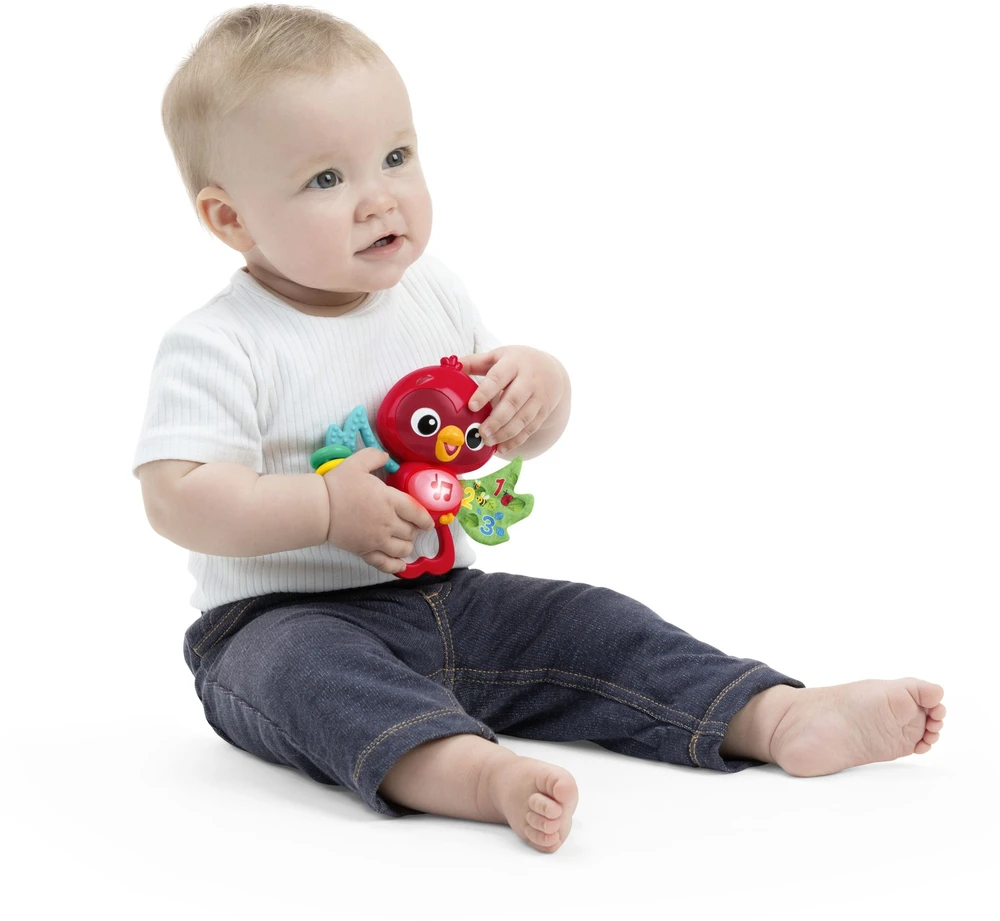 BABY EINSTEIN muzikinis žaislas Roxy's Bright Flight Musical Toy, 16888