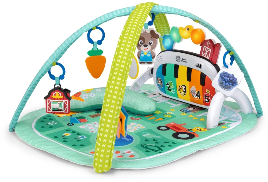 BABY EINSTEIN žaidimų kilimėlis 4-in-1 Kickin Tunes Musical Meadow, 17447