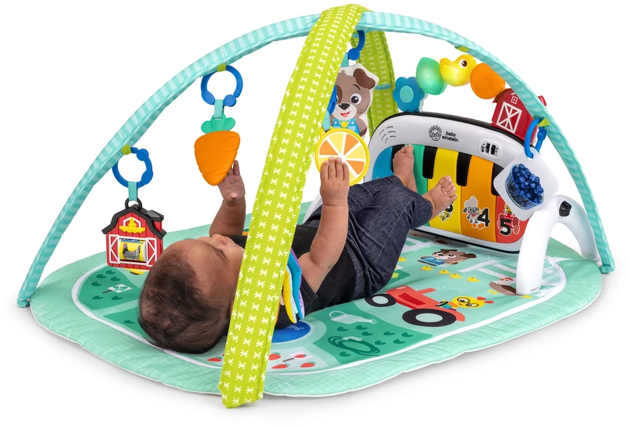 BABY EINSTEIN žaidimų kilimėlis 4-in-1 Kickin Tunes Musical Meadow, 17447