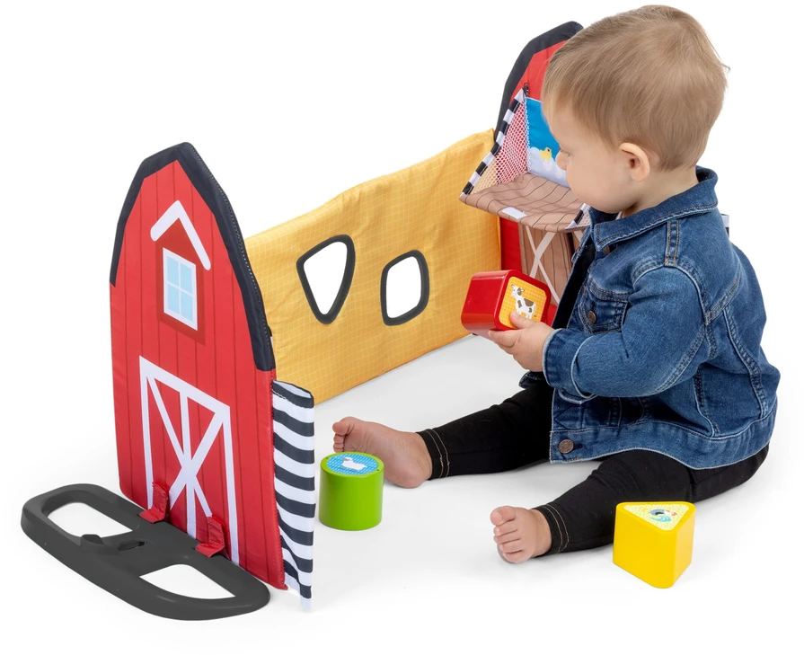 Baby Einstein Mažylis Einšteinas – „Busy Barnyard™“ – augimo su manimi žaidimų aikštelė (BE-17327)