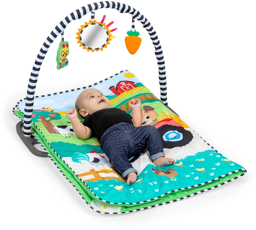 Baby Einstein Mažylis Einšteinas – „Busy Barnyard™“ – augimo su manimi žaidimų aikštelė (BE-17327)