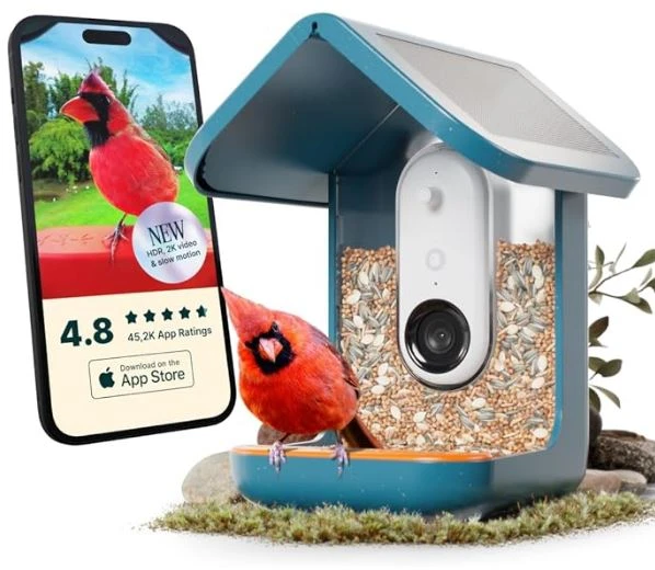 „BirdBuddy“ – išmanioji paukščių lesyklėlė 2.0, mėlyna, su saulės baterija