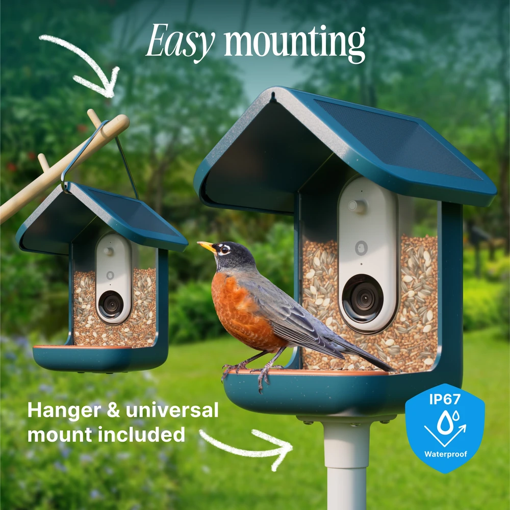 „BirdBuddy“ – išmanioji paukščių lesyklėlė 2.0, mėlyna, su saulės baterija
