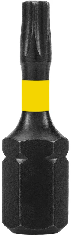 Bity Smūginiai antgaliai TX10 x 25 mm, 20 vnt.