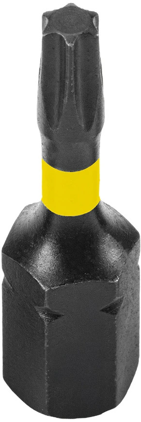 Bity Smūginiai antgaliai TX10 x 25 mm, 20 vnt.