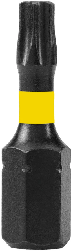 Bity Smūginiai antgaliai TX20 x 25 mm, 20 vnt.