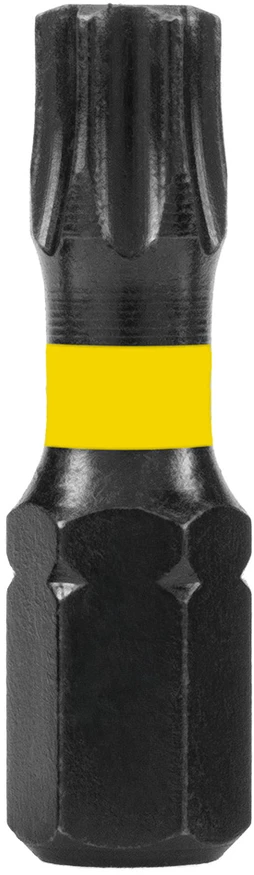 Bity Smūginiai antgaliai TX30 x 25 mm, 20 vnt.
