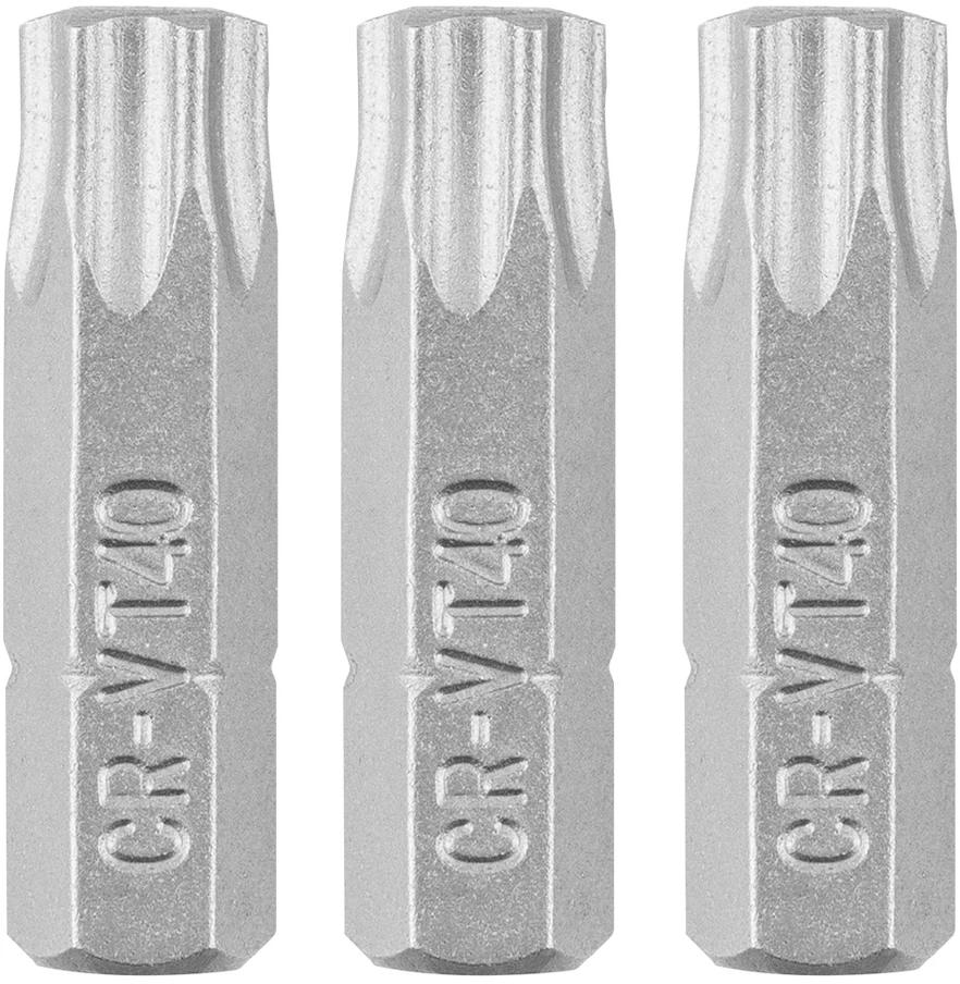 Graphite Bity Torx antgaliai T40 x 25 mm, 3 vnt.