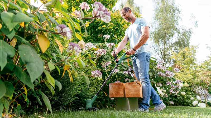 Bosch akumuliatorinė žoliapjovė EasyGrassCut 18V-230(1x2Ah)