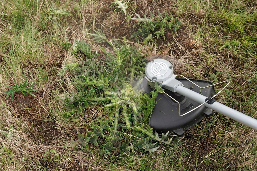 Bosch Akumuliatorinis trimeris AdvancedBrushCut 36V-23-750 (su 2,0 Ah akumuliatoriumi ir įkrovikliu)
