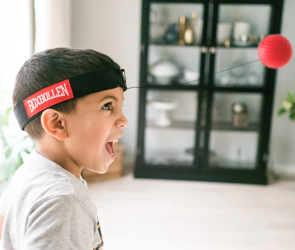 „Boxbollen“ – pilnas „Boxbollen“ rinkinys su programėlės licencija – raudonas