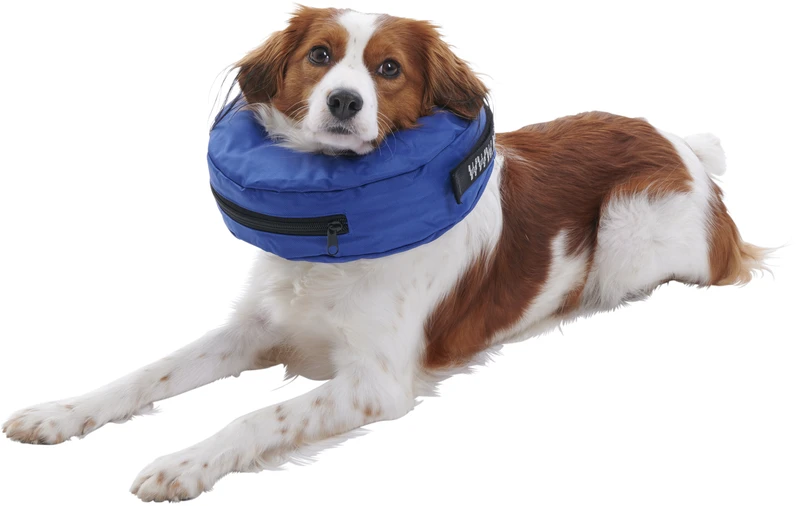 BUSTER - Pripučiamas antkaklis - XXL - Nailoninė mėlyna (279734)