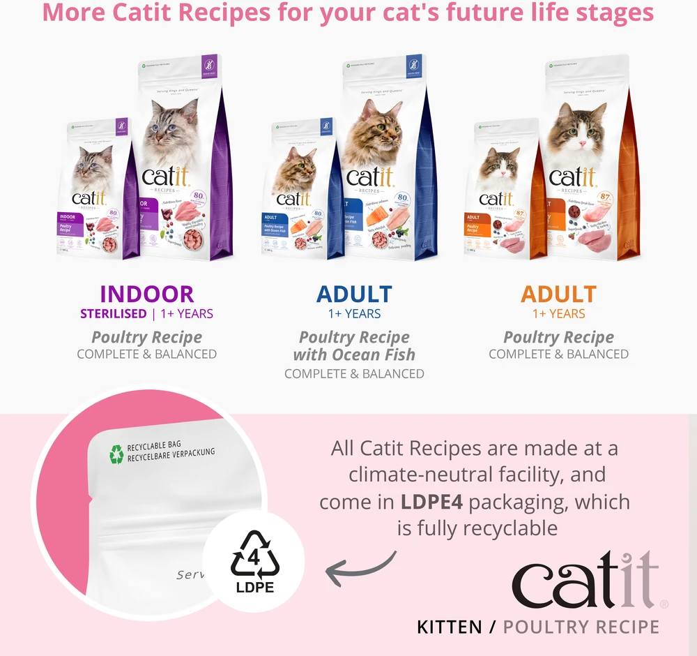 Catit - aukščiausios kokybės sausas kačiukų maistas - su vištiena - 2kg