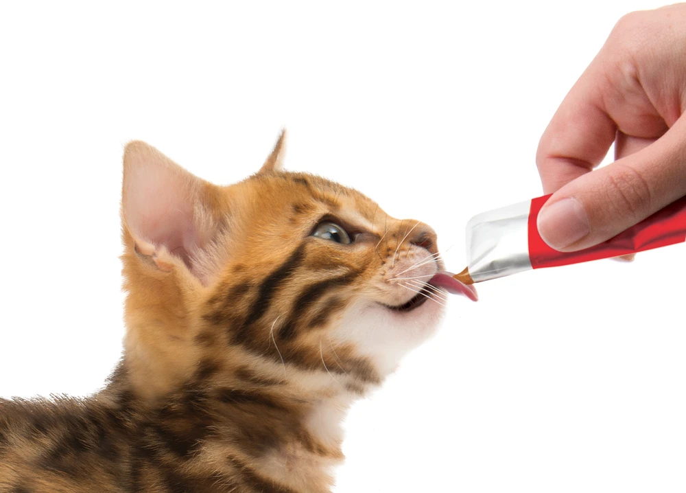 Catit - kreminis aukščiausios kokybės skanėstas katėms - lašiša su krevetėmis - mega pakuotė (50 x 10 g)