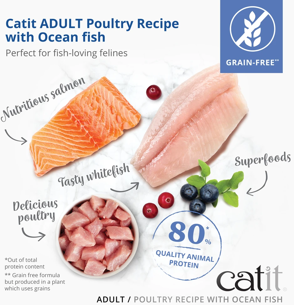 Catit - Receptai Premium sausas kačių maistas - suaugusioms žuvims - 400 gramų, geriausias iki 2026 m. gegužės 31 d.