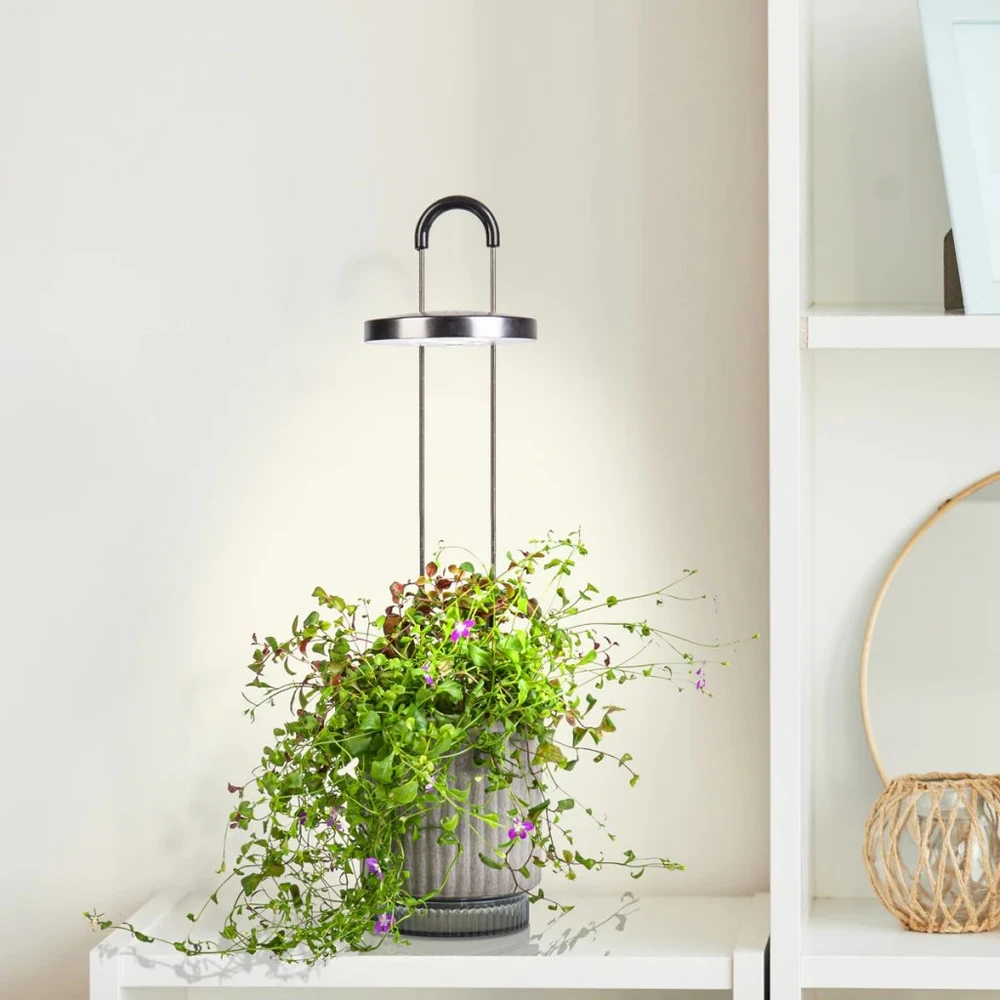 „Click Grow“ „Click and Grow“ – „HydroVase“ – pilka