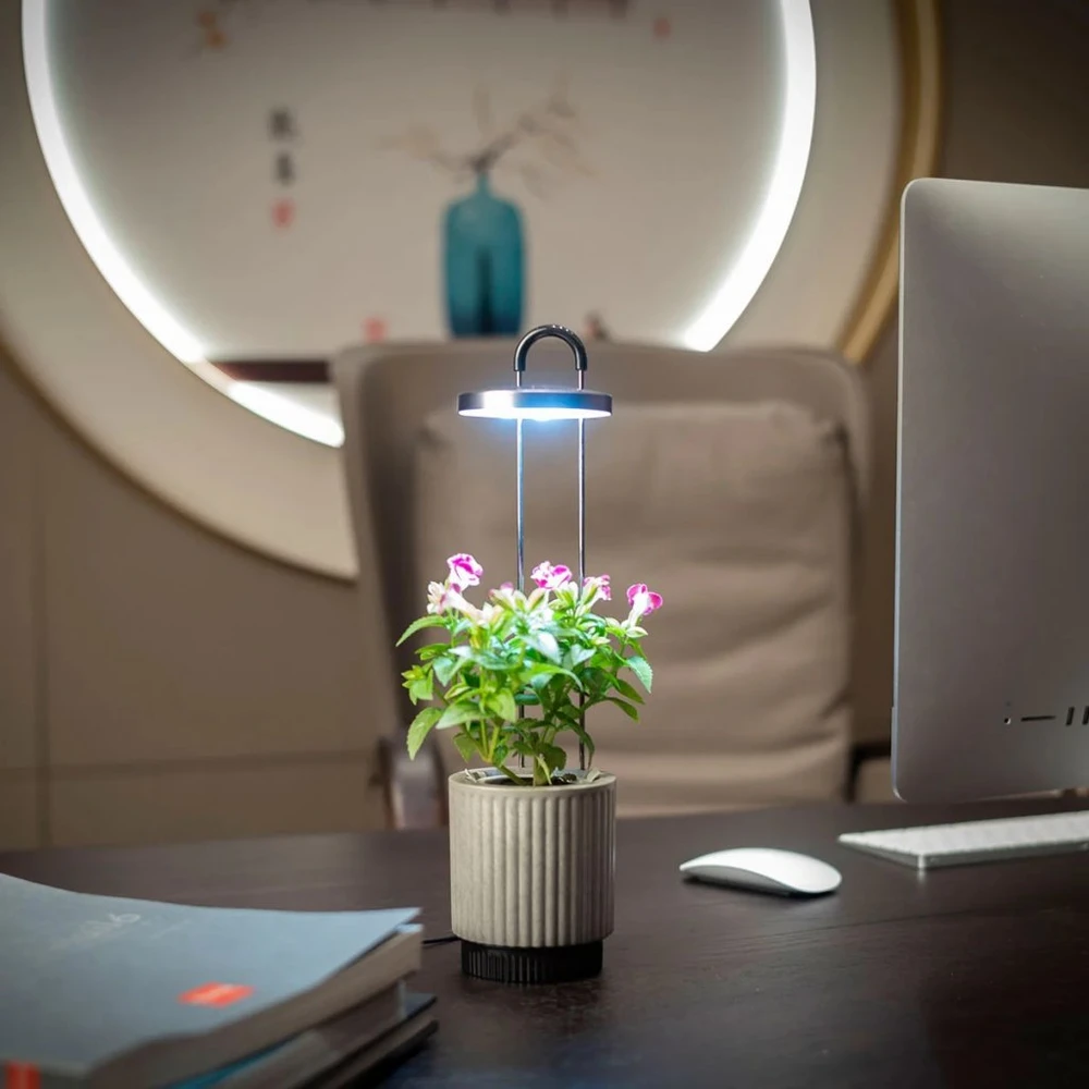 „Click Grow“ „Click and Grow“ – „HydroVase“ – pilka