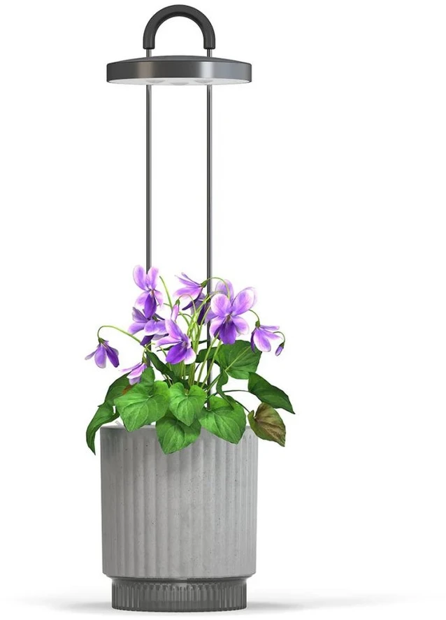 „Click Grow“ „Click and Grow“ – „HydroVase“ – pilka