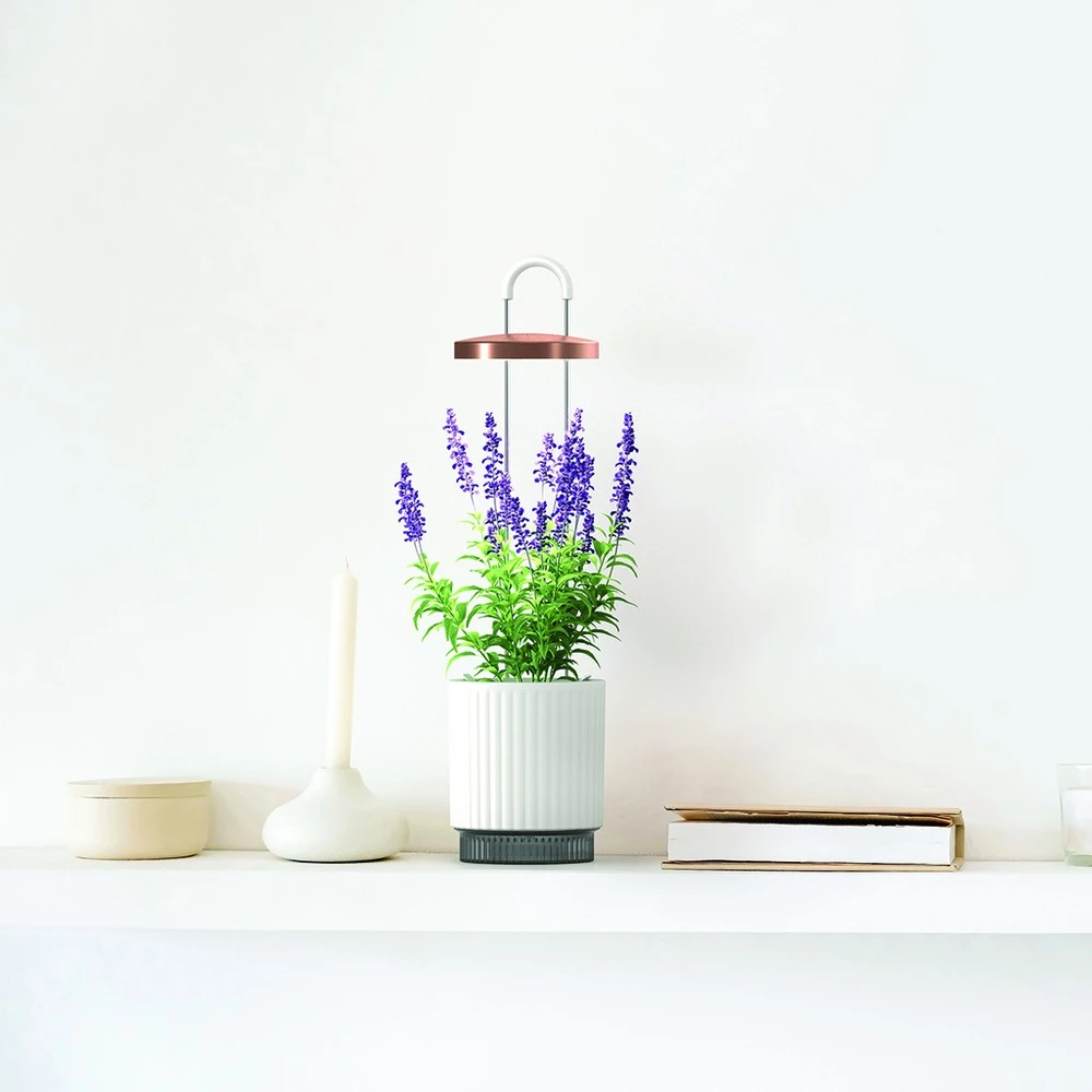 „Click Grow“ „Click and Grow“ – „HydroVase“ – balta