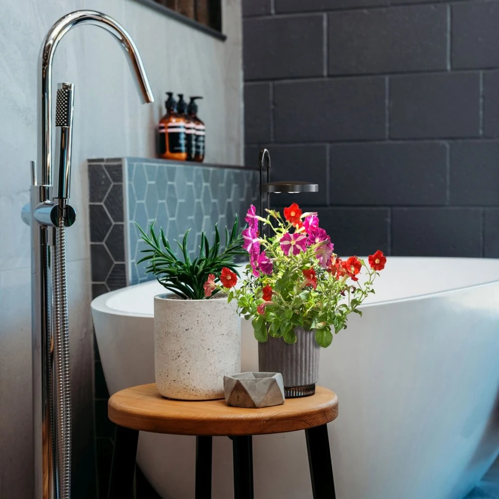 „Click Grow“ „Click and Grow“ – „HydroVase“ – pilka