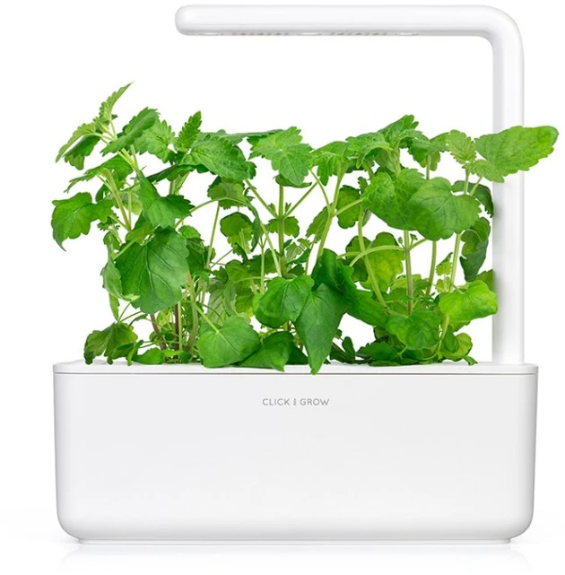 Click & Grow sėklos išmaniajam vazonui - katžolė, 3 vnt.