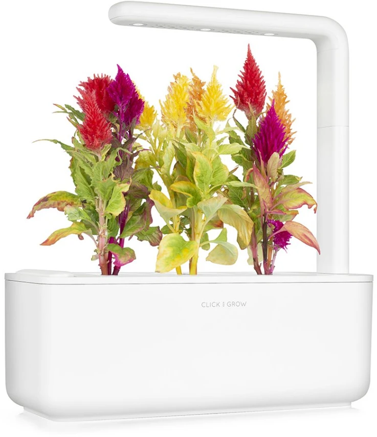 Click Grow „Click and Grow“ – išmaniojo sodo papildymo rinkinys, 3 vnt. skiauterės formos