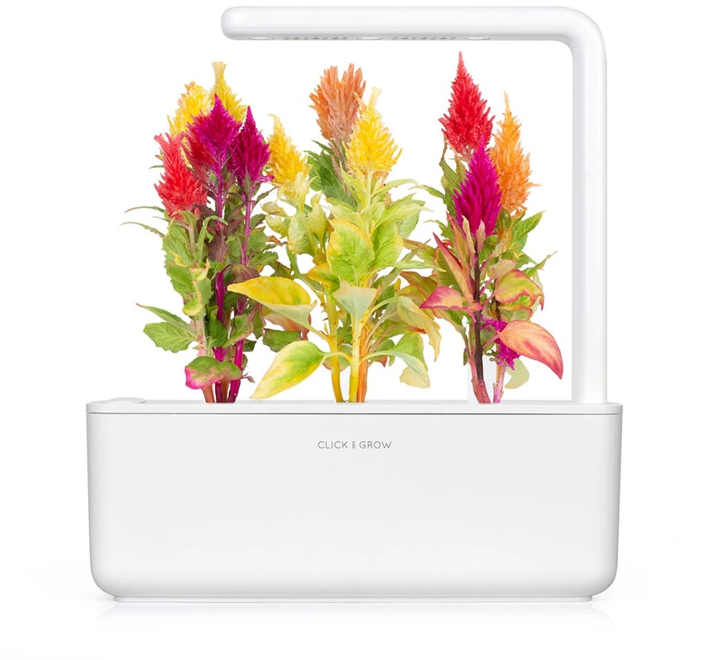 Click Grow „Click and Grow“ – išmaniojo sodo papildymo rinkinys, 3 vnt. skiauterės formos