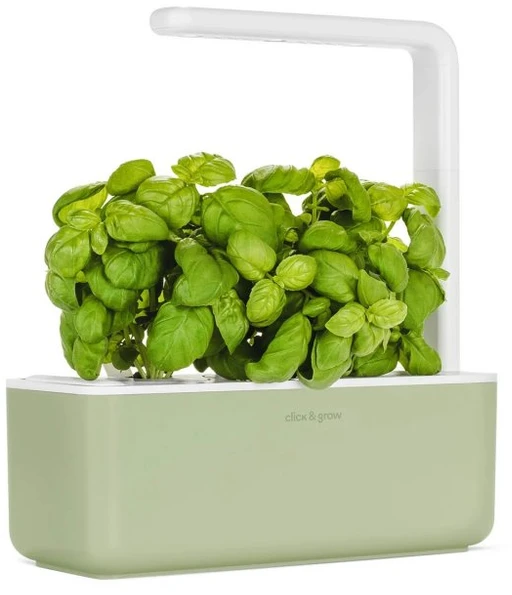 Click Grow „Click and Grow“ – išmaniojo sodo 3 pradinis rinkinys (spalva: šalavijų) (SGS13UNI)