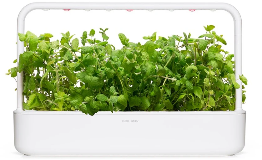 Click Grow „Click and Grow“ – išmaniojo sodo papildymo pakuotė, 3 vnt. – obuolių ir mėtų skonio (SGR79X3)