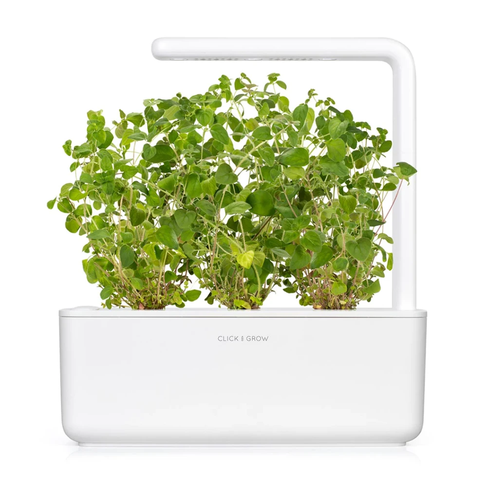 Click Grow „Click and Grow“ – išmaniojo sodo papildymas, 3 raudonėlių pakuotė