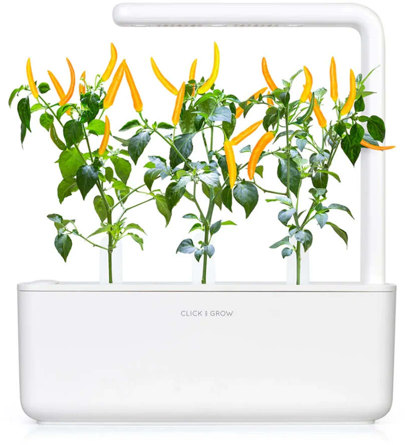 Click & Grow sėklos išmaniajam vazonui - Čili pipirai, 3vnt.