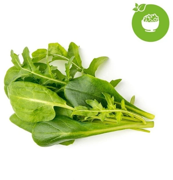 Išmanus namų sodas Click & Grow SG9 Baltas