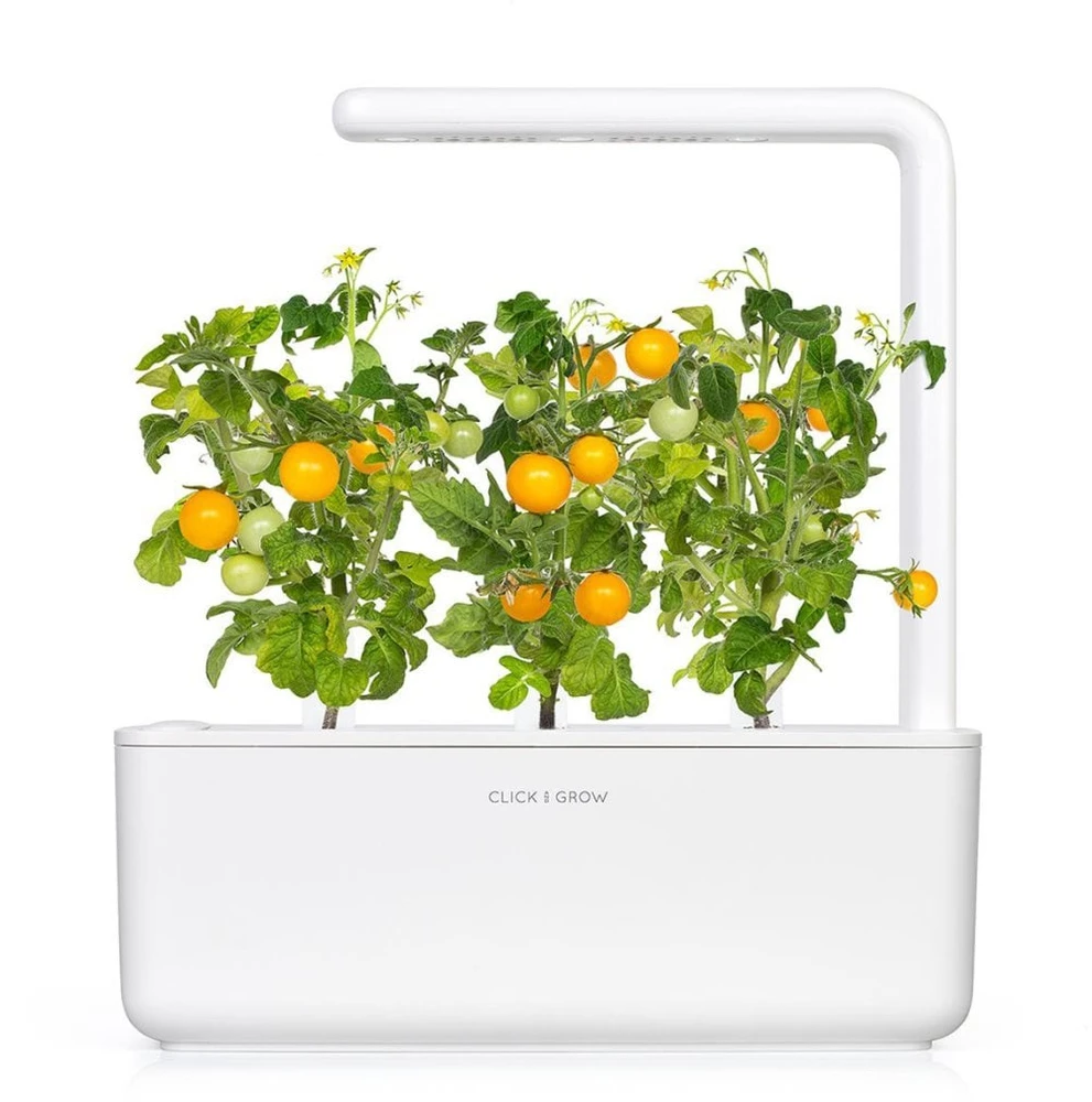 Click Grow „Click and Grow“ – „Smart Garden“ papildymas, 3 geltonų pomidorų pakuotė