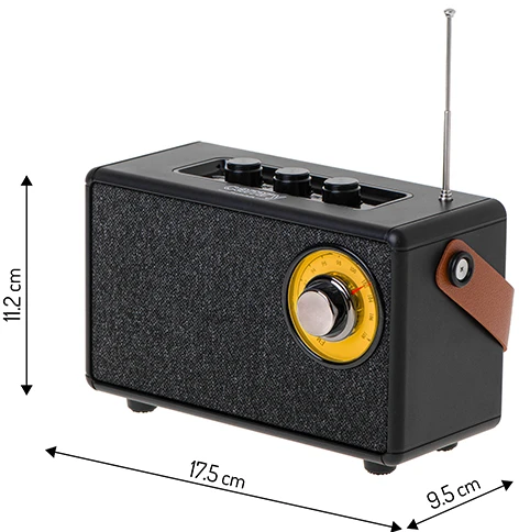 Camry | Speaker with radio | CR 1902 B | Juodas | Belaidė jungtis