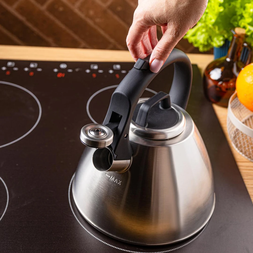 Virdulys, 2,5 l plieno virdulys su švilpuku ir minkšta rankena, Klausberg kb-7951