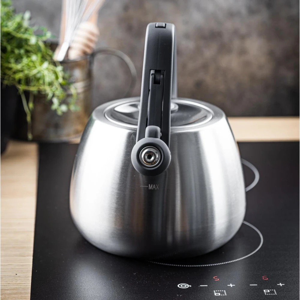 Virdulys, Nerūdijančio plieno virdulys su švilpuku, šlifuoto sidabro spalvos, talpa 2,5 l, Klausberg, kb-7773