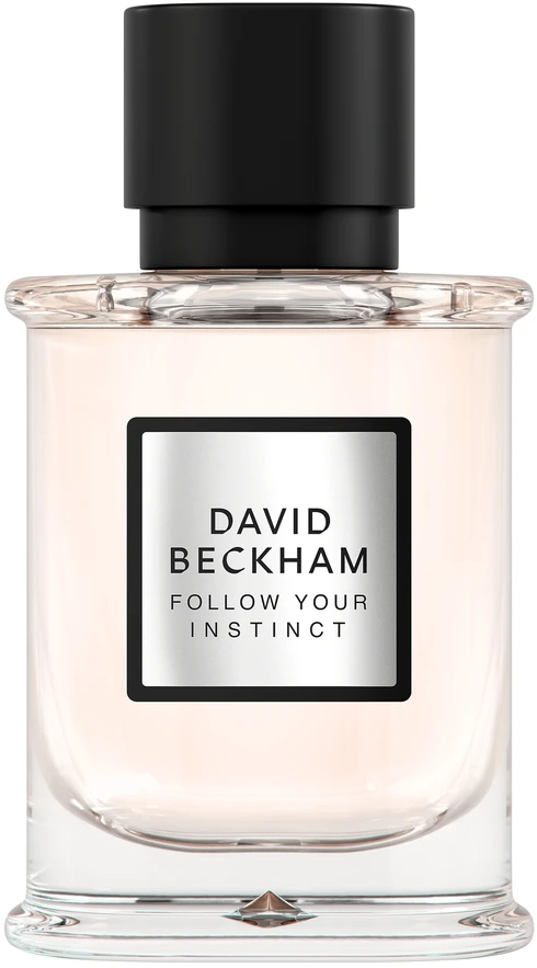 David Beckham Follow Your Instinct EDP parfumuotas vanduo vyrams, 50 ml