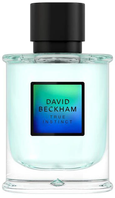 David Beckham True Instinct EDP parfumuotas vanduo vyrams, 75 ml