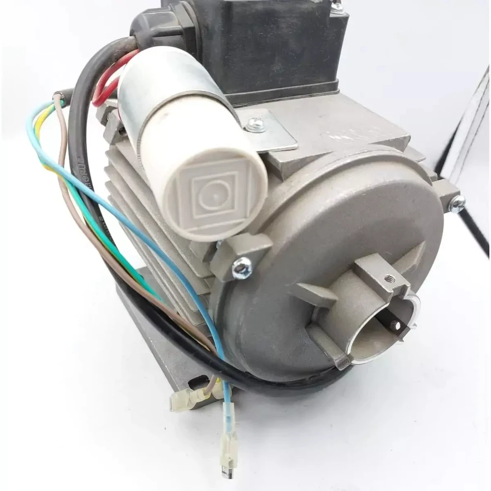Dedra Elektrinis variklis