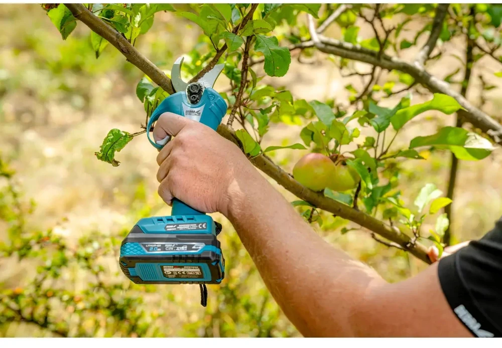 Dedra Sekator Akumuliatorinis genėtuvas 18v ​​25-30mm