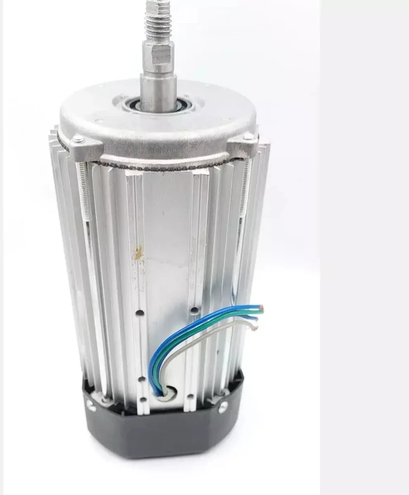 Dedra Silnik 800 W elektros variklis
