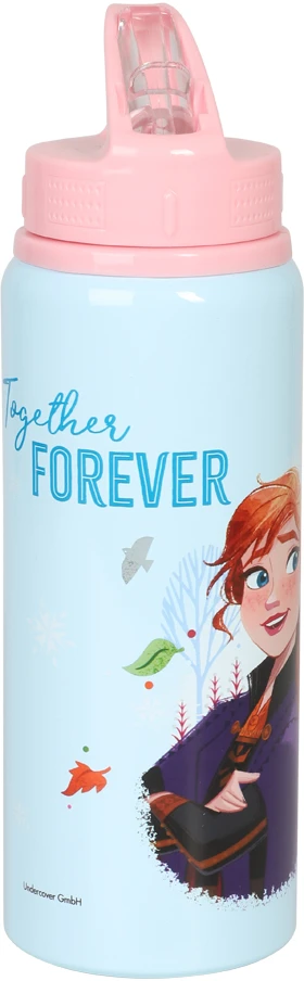Hisabjoker Ab Disney Ledo šalis - aliuminio sportinis vandens buteliukas 730 ml (68690)