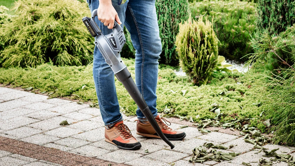 Rebel Belaidis lapų pūstuvas 20V