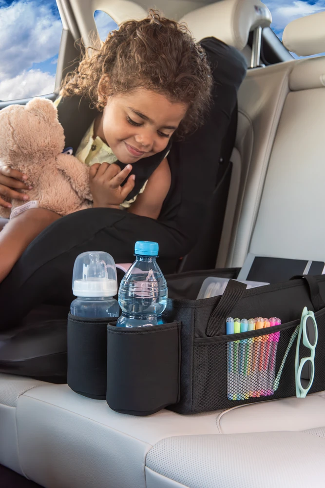 "Dooky Travel" galinės sėdynės krepšys