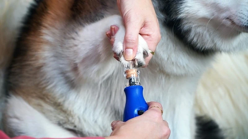 Bosch DREMEL 7350 Pet Grooming kit (3,6V)